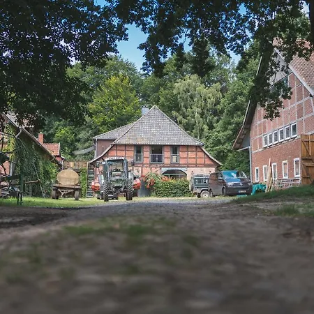 Apartment Oesenhof - Dielenwohnung