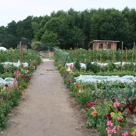 Oesenhof - Dielenwohnung