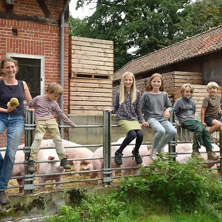 Oesenhof - Dielenwohnung Lejlighed *